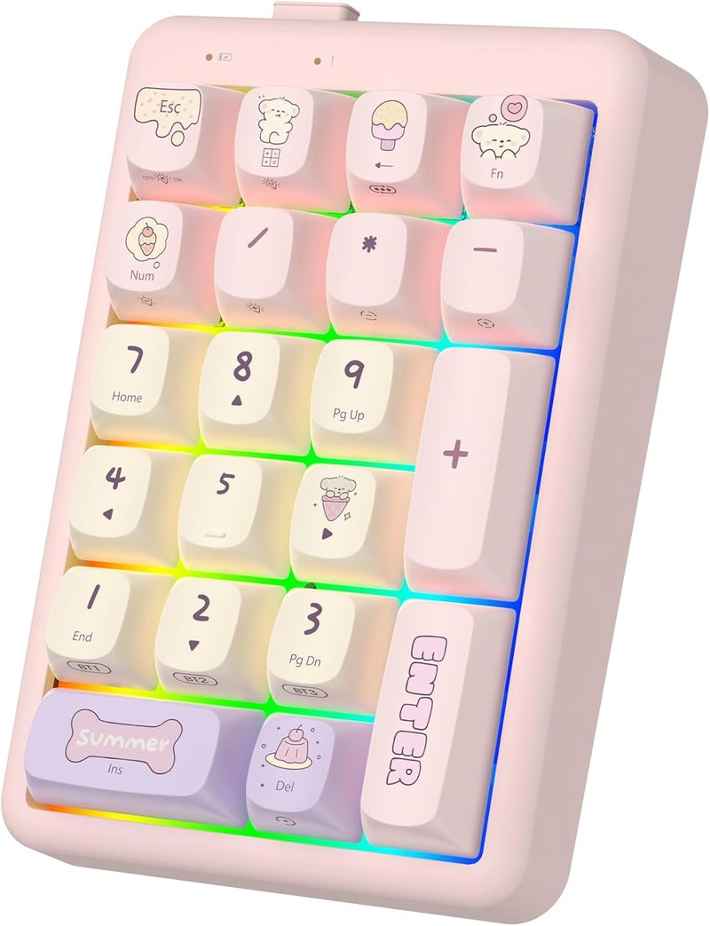 FOPATO NumberPad,21Keys HotSwappable Numpad,Bluetooth5.0/2.4G/Type-C Wireless Numeric Keypad,Rechargeable Number keypad,RGB Gasket Structure Mechanical Keyboard with PBT Keycap for PC Laptop Notebook - Image 1